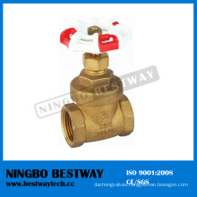 200 Wog Forged Brass Gate Valve Manufacturer (BW-G03)